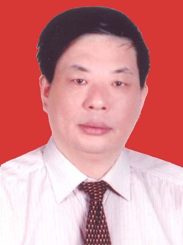 潮阳市政府办公室调研组组长,调研科科长,潮阳市胪岗镇党委副书记