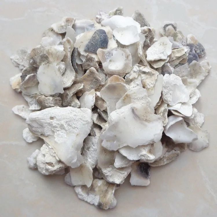 牡蛎中药饮片
