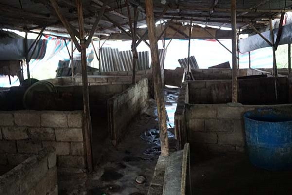 市农业局督查潮南区畜禽养殖污染整治工作_工作动态_汕头市农业农村局