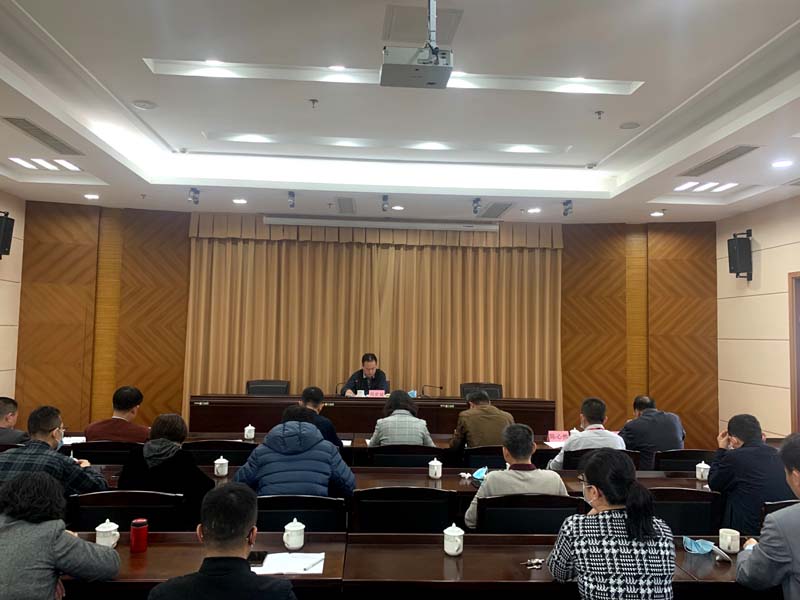 统筹抓好疫情防控工作 推动审计工作提质增效——市审计局召开党组（扩大）会议