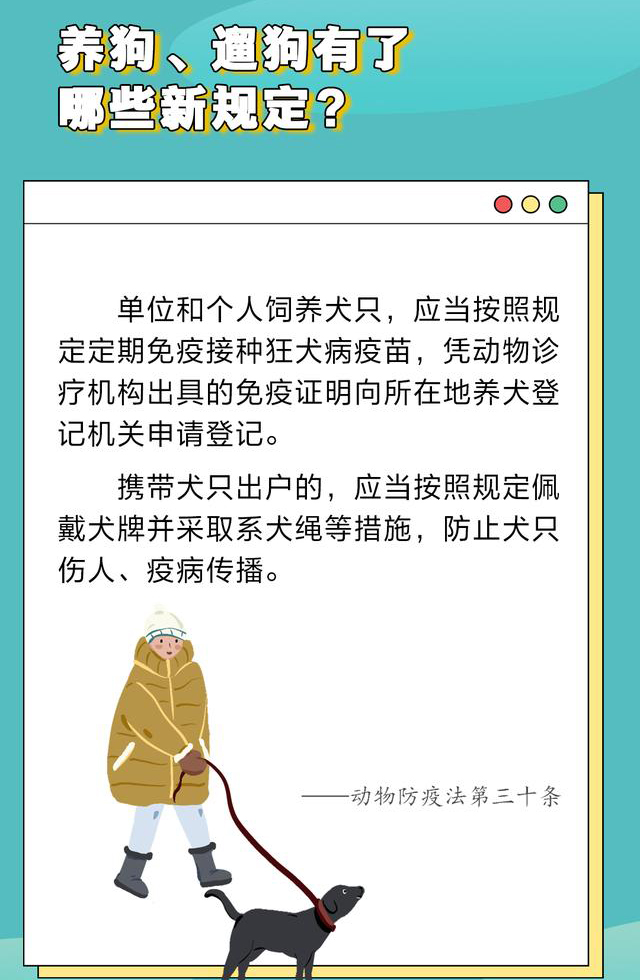 4354921.jpg