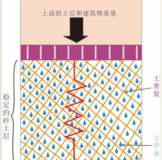 科普1.webp.jpg
