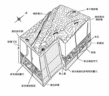 科普6.webp.jpg