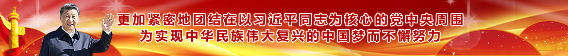 更加紧密地团结在以习近平同志为核心的党中央周围，为实现中华民族伟大复兴的中国梦而不懈努力