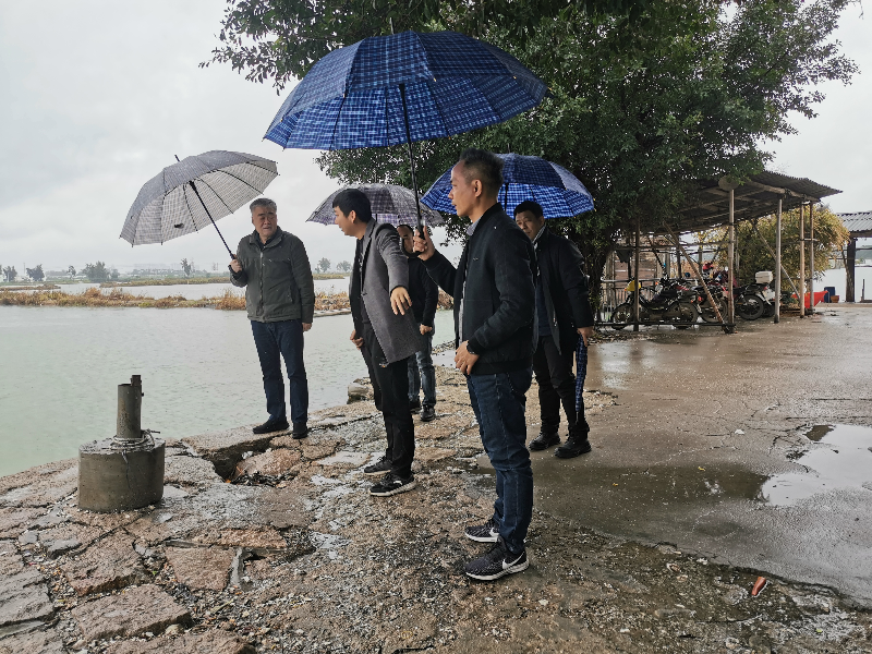 2.21王清二级调研员带队检查2.jpg