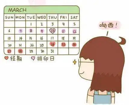 月经周期规律排卵期就规律吗