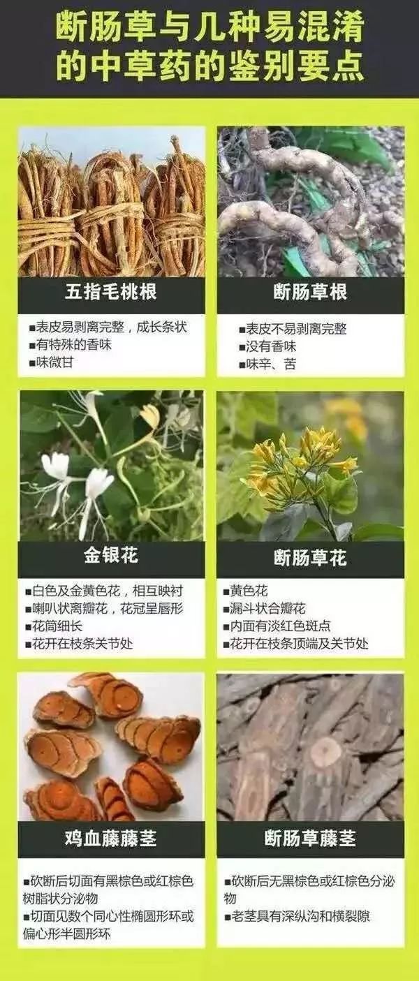 微信图片_20200423111532.jpg