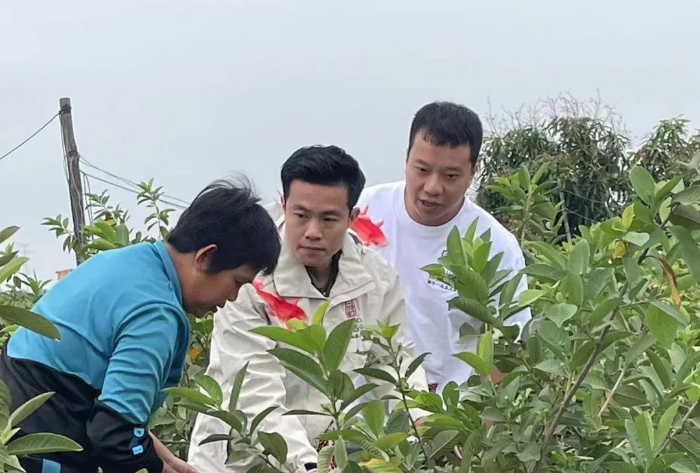 解放军报 | 汕头市“90后”退役军人章列雄——返乡“创客”逐梦果园