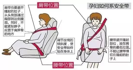 2023.08.09安全提示｜后排安全带要牢“系”，行车安全莫大意！13.jpg