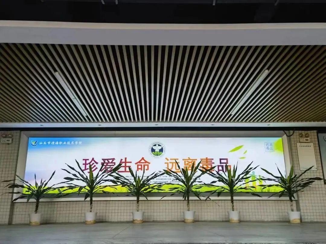 首页>13政务公开>工作动态>澄海区濠江区龙湖区金平区助力社会的