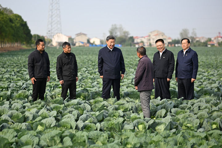 图片5.png