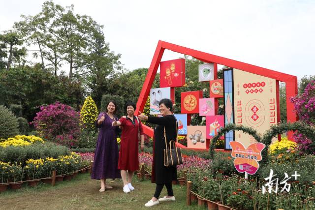 菊花展吸引众多市民游客前来打卡。 