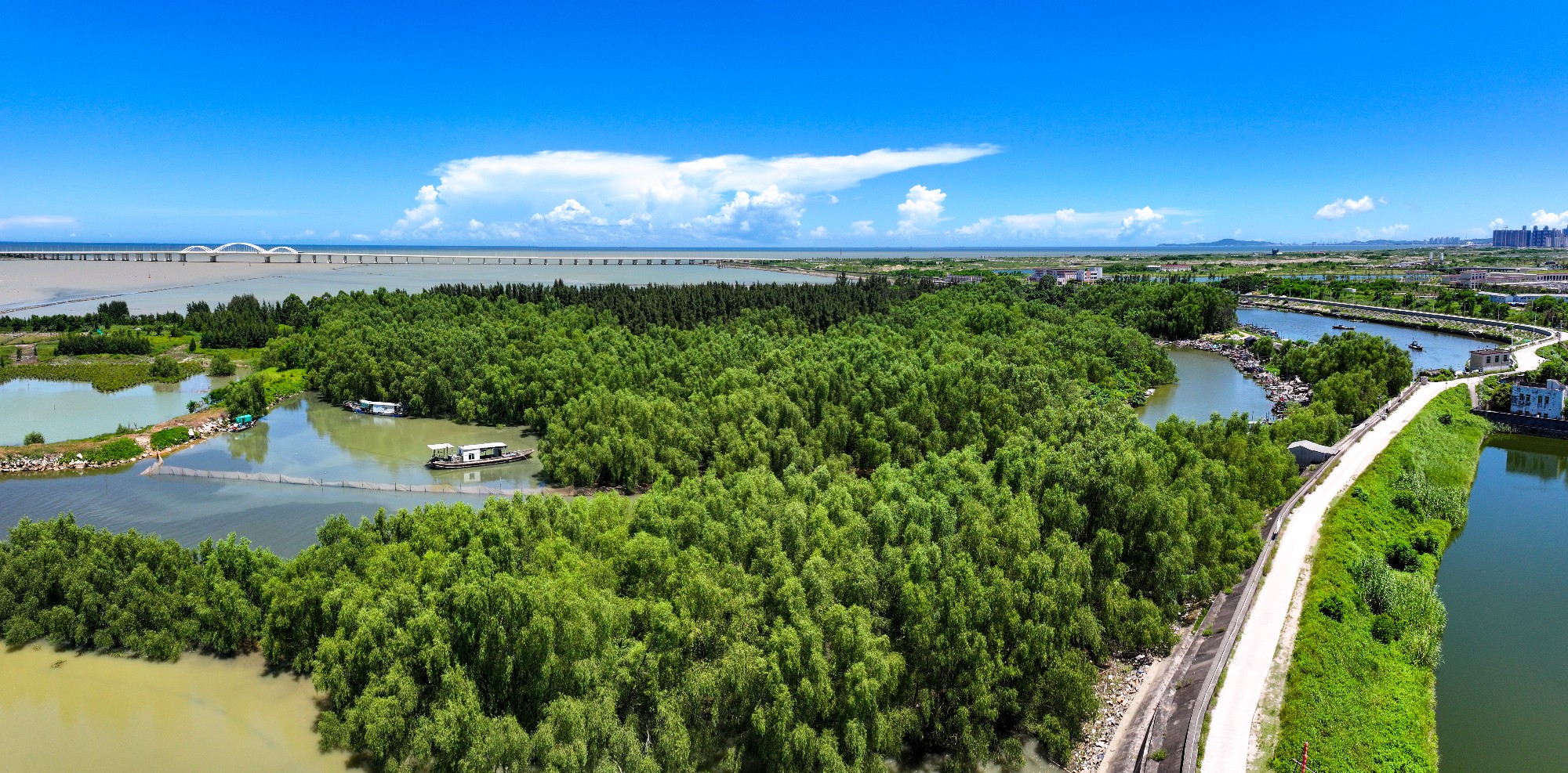 57外砂河湿地-01_副本.jpg