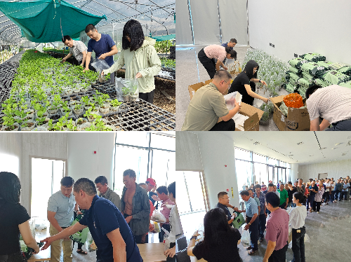 图16-19：物资照片及领取现场照片.jpg