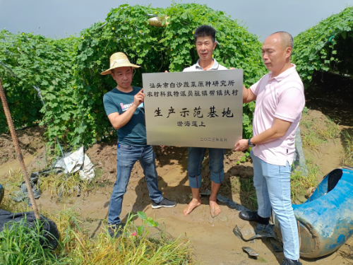 1.莲上镇建设苦瓜示范基地.jpg