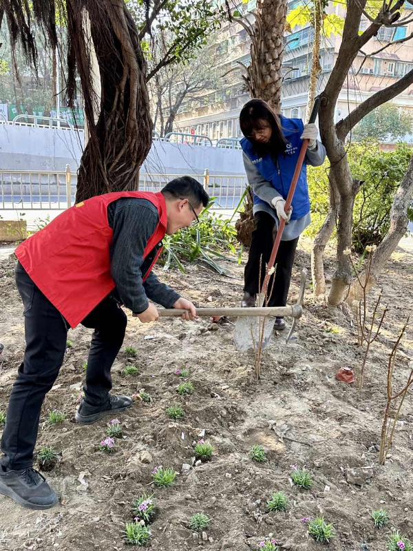 二、植树 (2).jpg