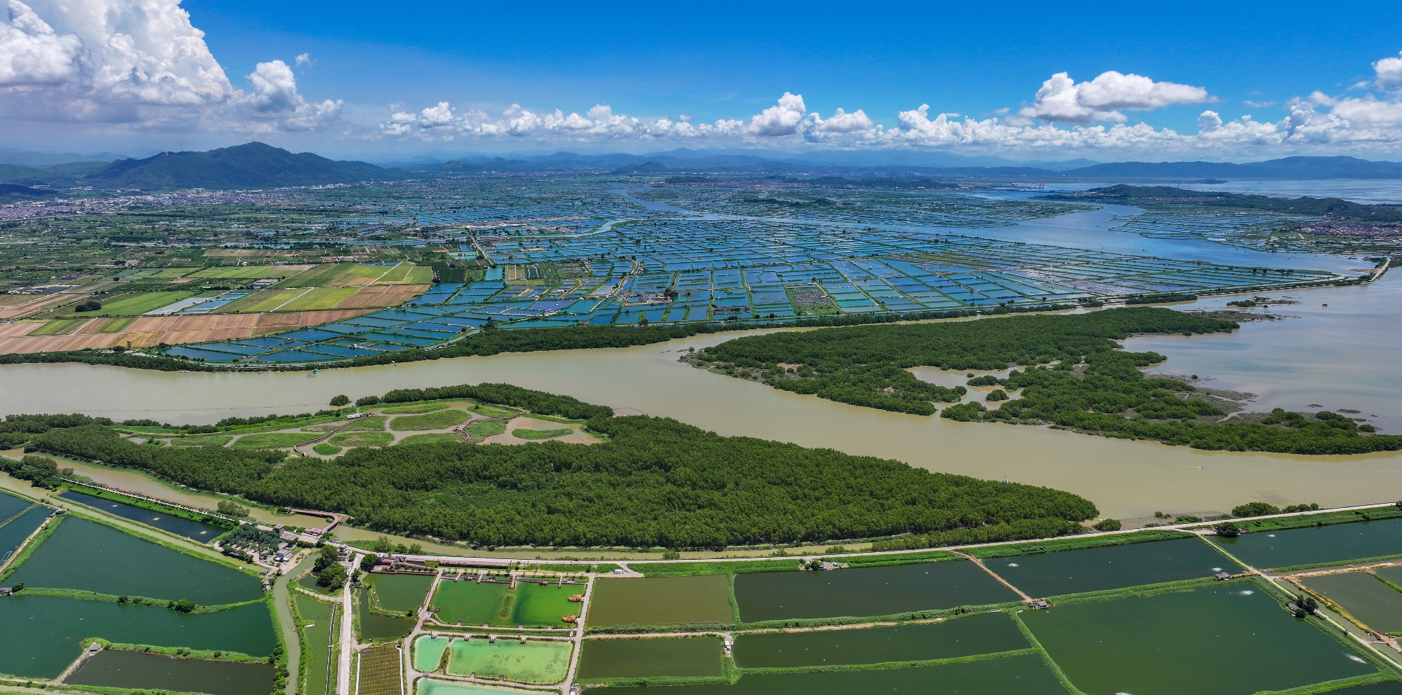 汕头市澄海义丰溪出海口红树林湿地公园（柯良斌 摄）_副本.jpg