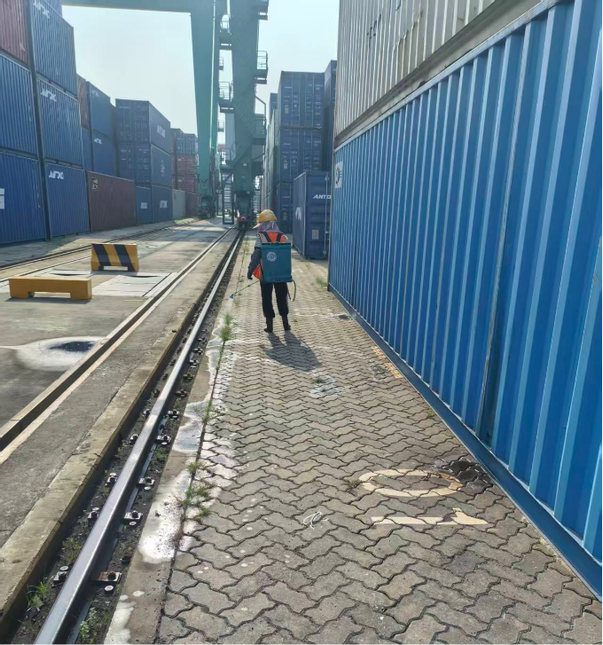31.png