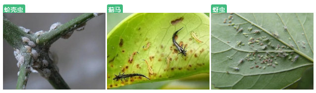 下载.jpg