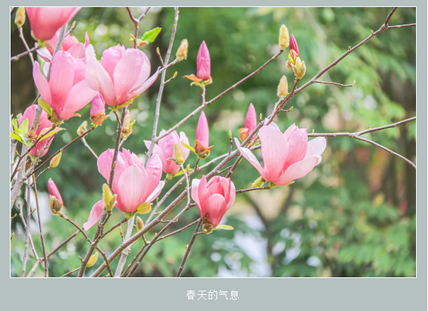 微信截图_20200227095701.png