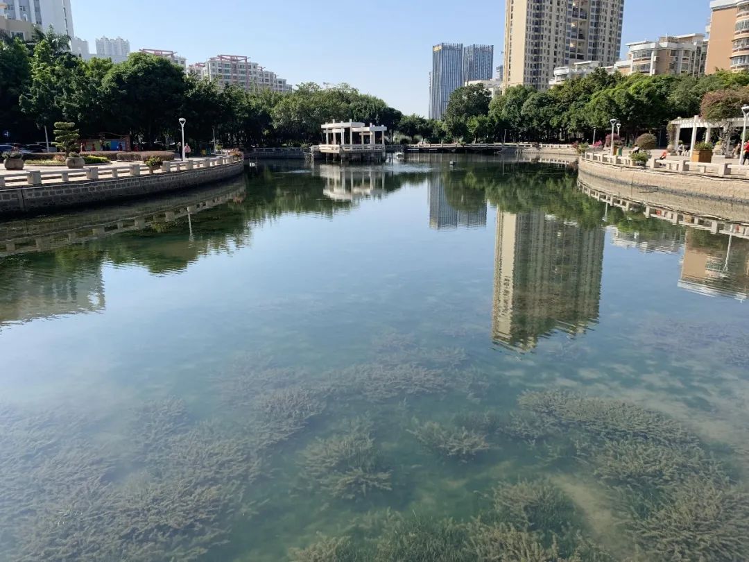 å¾ç
