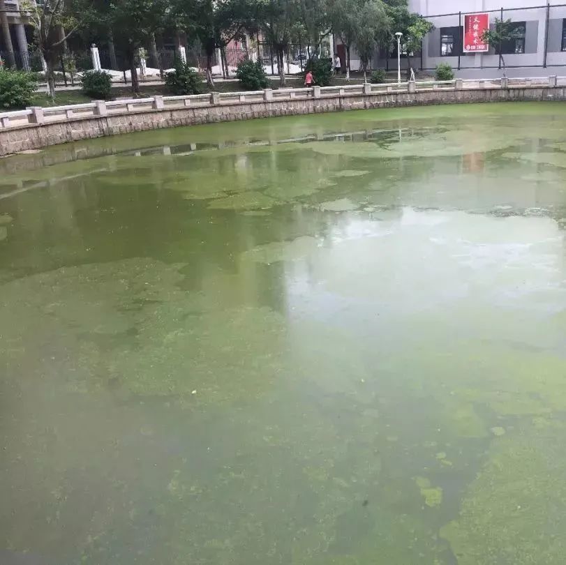 å¾ç