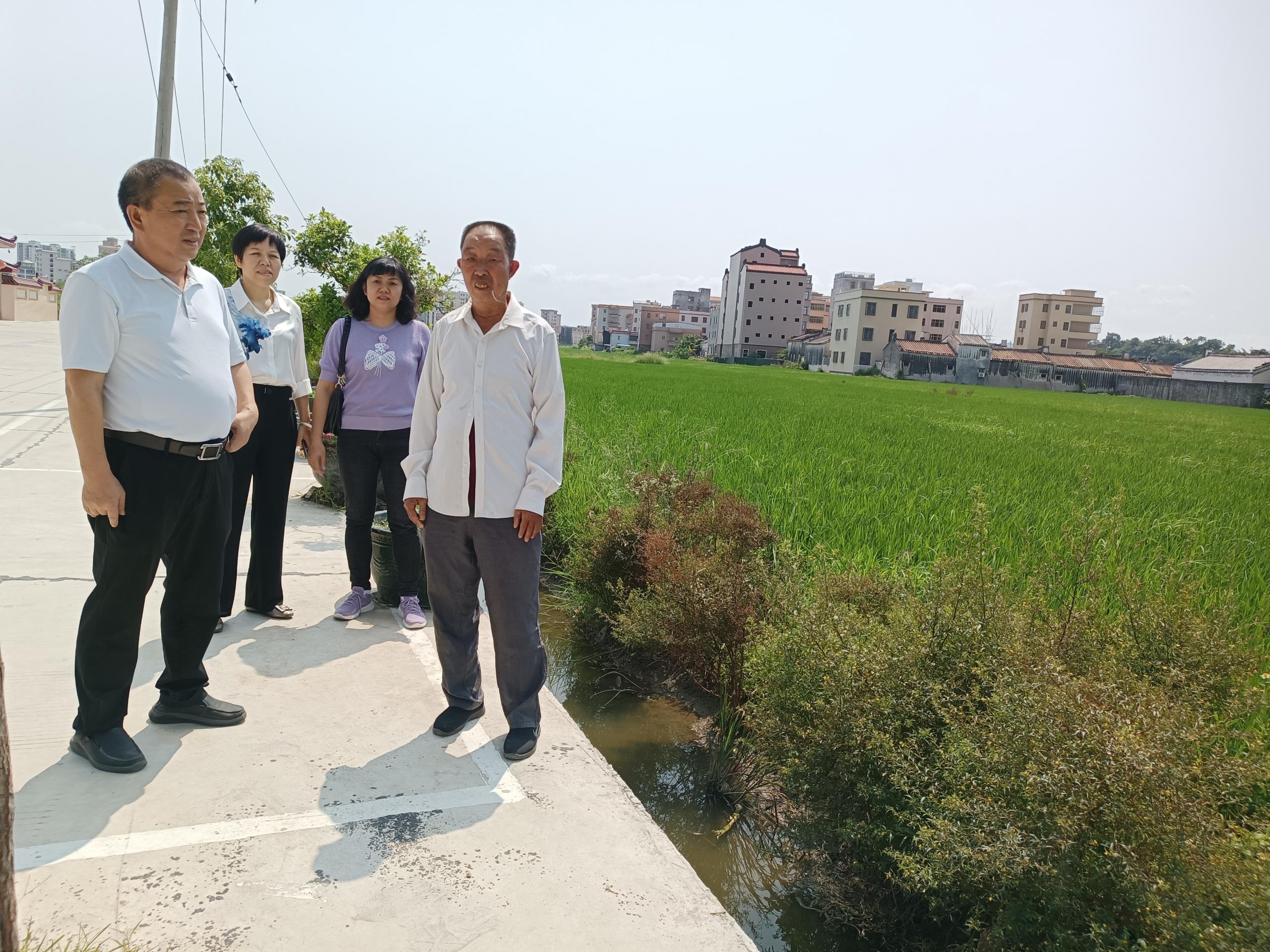 成本调查工作超过30年的稻谷调查户关埠镇许六弟和西胪镇林茂松同志