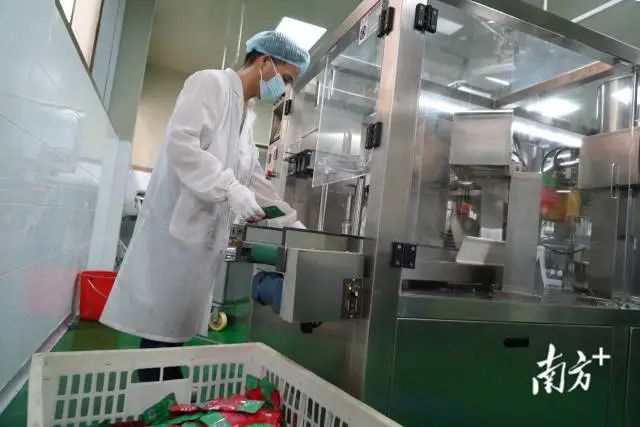 老菜脯预制菜品走上工业化生产道路。 南方+ 张伟炜 拍摄 图片