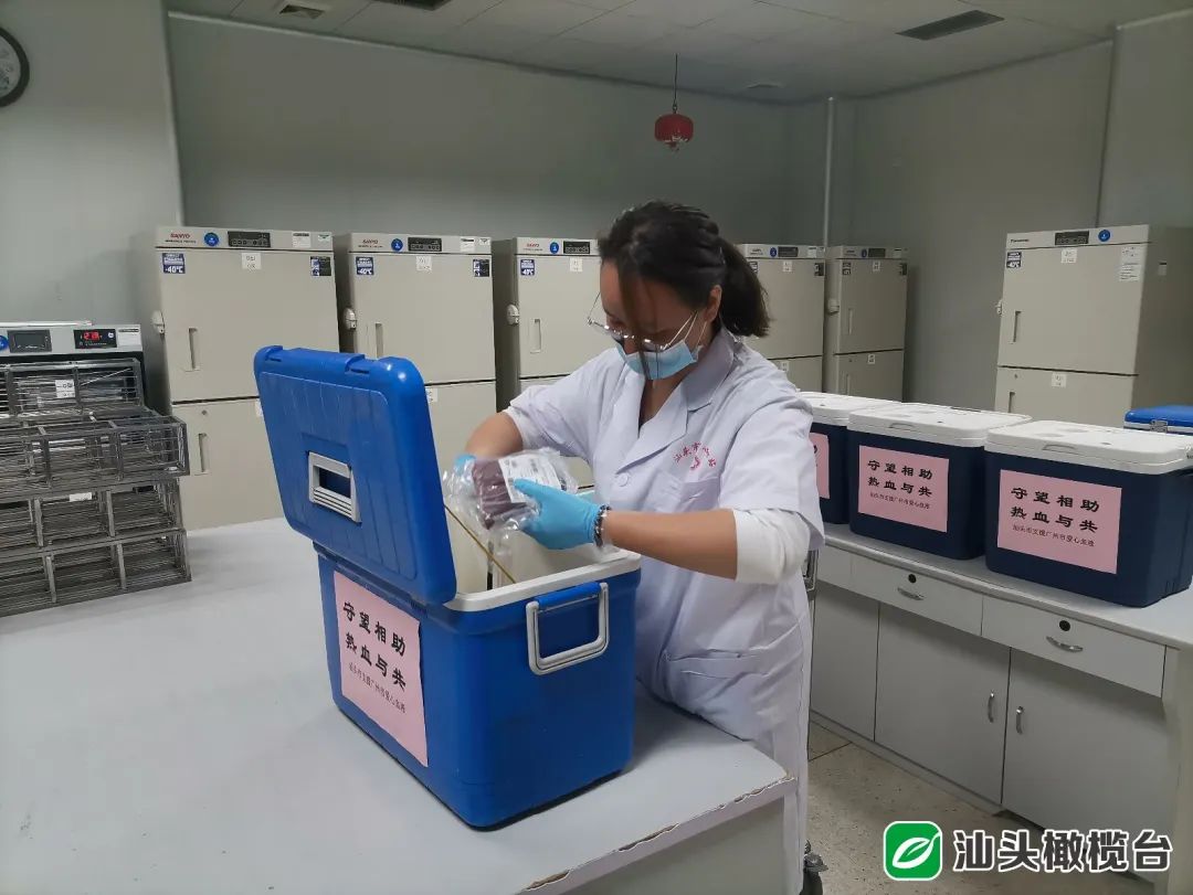 血液中心开放日，小记者探寻一袋血的历程-中国输血协会