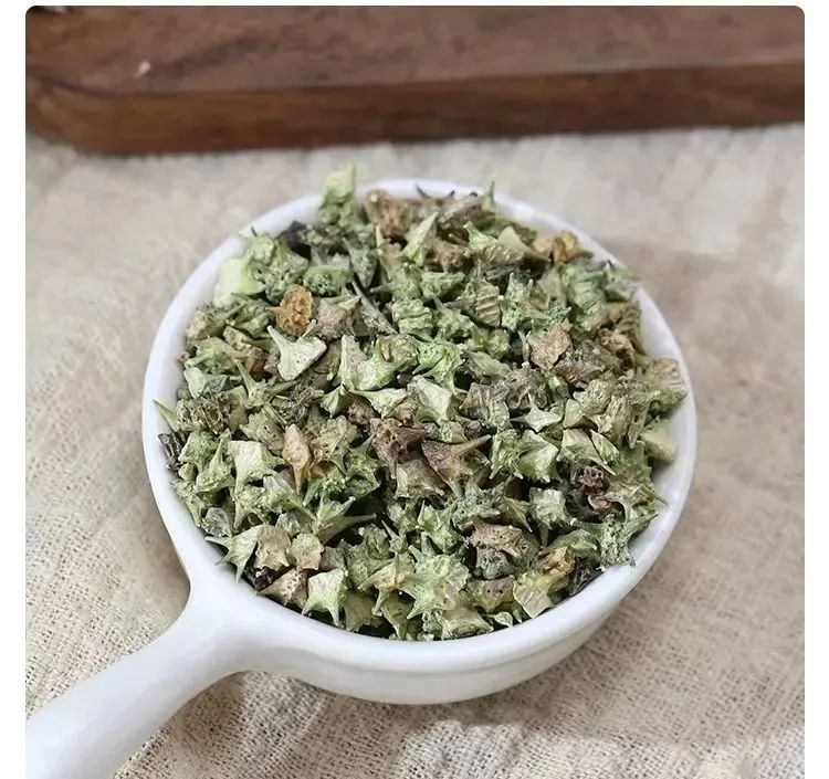 白蒺藜带刺,故又称刺蒺藜,有降血压,降血脂的作用,泡水或研磨冲服皆可