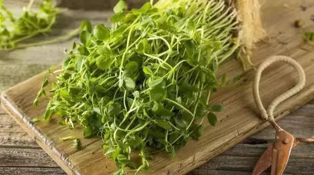 科普 不敢相信 这些蔬菜竟是 致癌菜 很多人都不知道